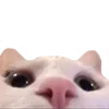 🙂