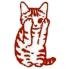 🐈
