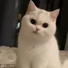 😒