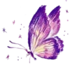 🦋