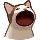 😮