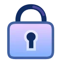 🔒