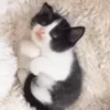 🥰