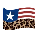 🇱🇷