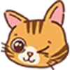 😻