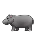 🦛