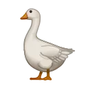 🪿