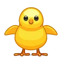 🐥