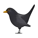 🐦‍⬛️