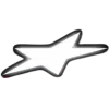 🌟