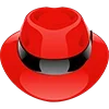 🎩