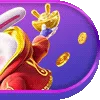 🐰