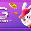🐰