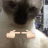 👉