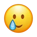 🥲