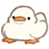 🦆