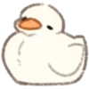 🦆
