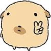 ✌