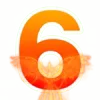 👌