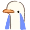 🦆