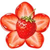 🌺