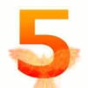 👌