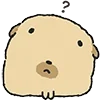 ❓