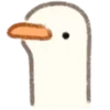 🦆