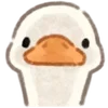 🦆