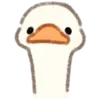🦆