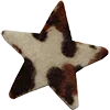 ⭐️