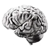 🧠
