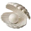 🐚