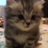 🥰