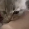 😝