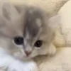 🥰