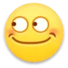 🫣