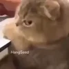 😒