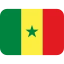 🇸🇳