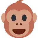 🐵