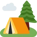 🏕️