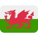🏴󠁧󠁢󠁷󠁬󠁳󠁿