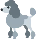 🐩