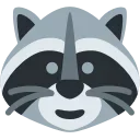 🦝