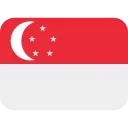 🇸🇬
