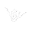 ☠