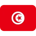 🇹🇳