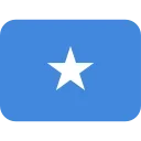 🇸🇴