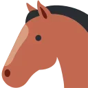🐴