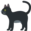 🐈‍⬛